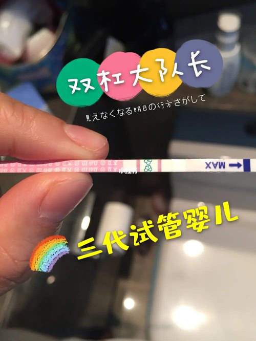 北京同性恋试管试管代怀的成功率(北京同性恋试管治疗的费用)