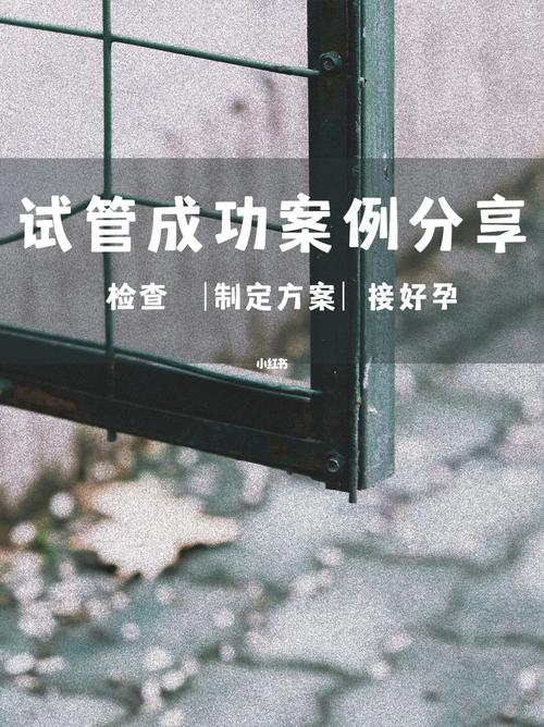 北京试管助孕中心（北京试管助孕中心的成功案例）